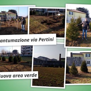In via Pertini a Trecate una nuova area verde