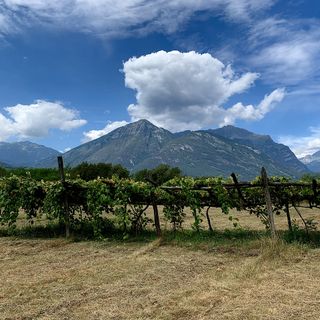 Bose e marcite, alla scoperta delle antiche tecniche agricole tra Ticino e Lago Maggiore