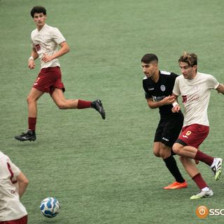 Arona in casa dell'Orizzonti Canavese