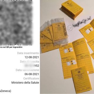 Green Pass falsi venduti su Telegram, le indagini condotte dall'ex pm di Verbania Bianca Maria Baj Macario VIDEO