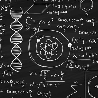 Dialoghi con la Scienza #2: &quot;Ogni Cosa è Collegata&quot;