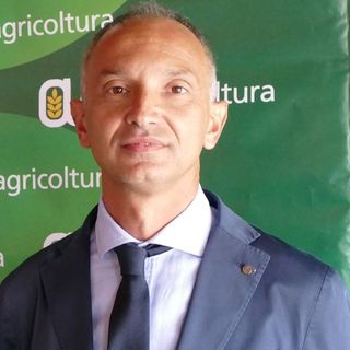 Peste Suina, Confagricoltura segnala alla Regione speculazioni sul mercato dei suini