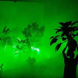 Cross Project torna dal 20 maggio tra Verbania e il lago d'Orta