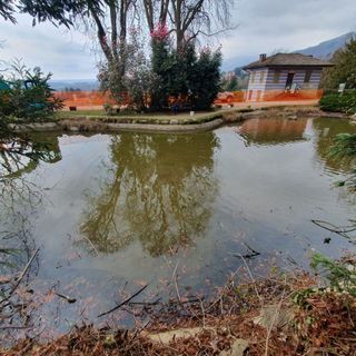 Interventi di riqualificazione per il centro recupero tartarughe invasive