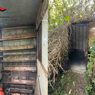 Romentino: scoperta una postazione per il bracconaggio in un terreno comunale