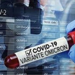 Covid, è un torinese asintomatico il primo caso di variante Omicron in Piemonte