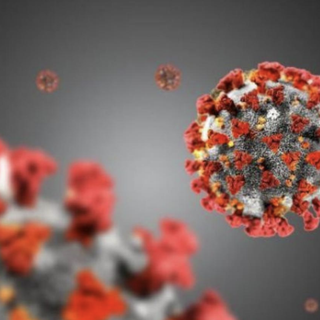 Covid, 15mila piemontesi potranno usare gli anticorpi monoclonali