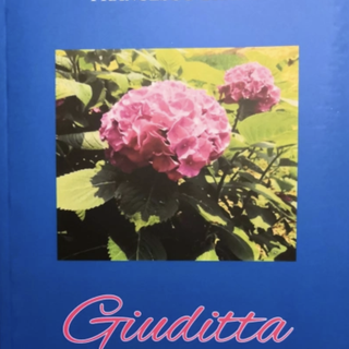 Uscito il nuovo libro di Francesco Grano, “GIUDITTA - una ragazza casual”