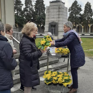 Primule gialle donate alle volontarie della consulta per i servizi cimiteriali e alle donne trecatesi in occasione dell’8 marzo
