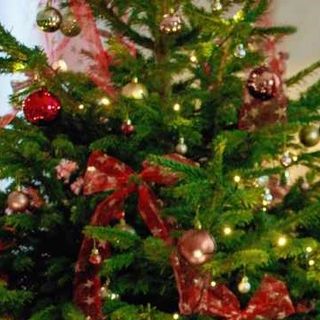 Per le scuole piemontesi il Natale non è finito: c'è tempo fino al 20 gennaio per partecipare al concorso fotografico della Regione