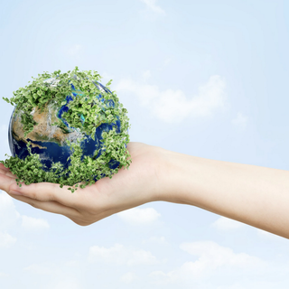 Il Piemonte lavora a sei proposte di legge per tutelare meglio l'ambiente