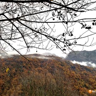 Foreste, 12 milioni di euro per la gestione sostenibile dei boschi piemontesi