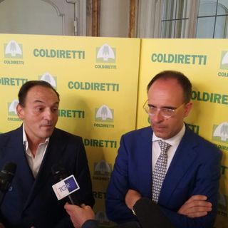 Siccità, Coldiretti Piemonte: &quot;A rischio chiusura un'azienda su tre. C'è chi specula sull'acqua&quot;