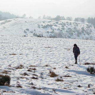Un balcone sul Mottarone, la montagna dei milanesi Monte Falò (Coiromonte –NO-)