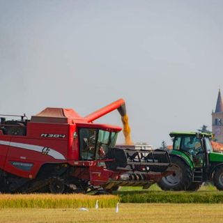 Fiera agricola e artigiana di Trecate: ancora pochi giorni per le adesioni