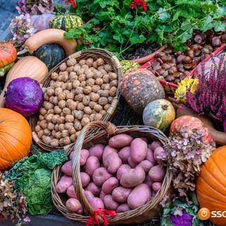 Coldiretti: “Per Halloween ha trionfato la zucca, dalla tavola all’intaglio&quot;