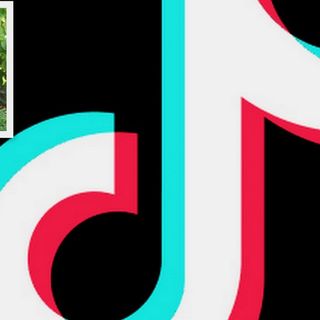 Borghi (Copasir): ''TikTok è un problema di sicurezza nazionale''