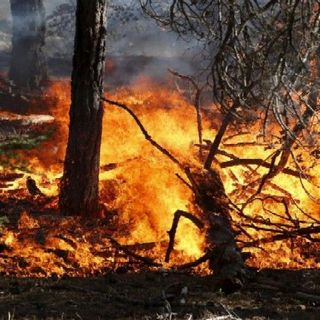 Incendi boschivi, indagine dell'Uncem per capire come vanno prevenzione e gestione dell'emergenza