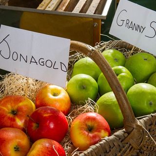 Confagricoltura Piemonte: &quot;Uno studio statunitense rivela che chi mangia mele diventa intelligente&quot;