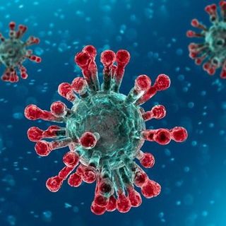 Variante Omicron: altri due casi in Piemonte, si tratta di due donne