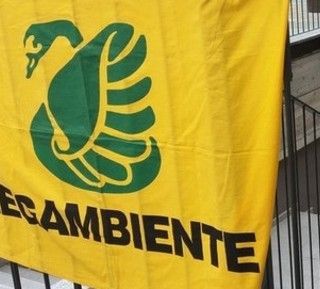Calo delle piantumazioni nel 2023: nuovi alberi in calo, ma i benefici rimangono elevati