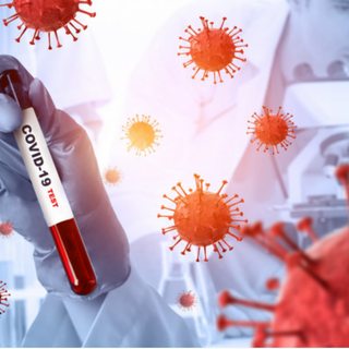 Arpa Piemonte: &quot;Nelle acque reflue domina la variante Omicron BA.2&quot;