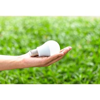Ecolamp, nel 2024 cinque tonnellate di lampadine esauste raccolte nel novarese