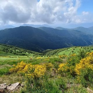 Una Montagna di libri - (Alpe Colle mt.1.238 Verbania)