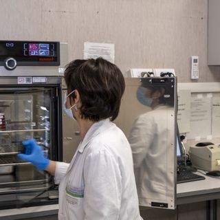 Nuove speranze per comprendere l'autismo: UniTo e Città della Salute scoprono un gene che ne è responsabile