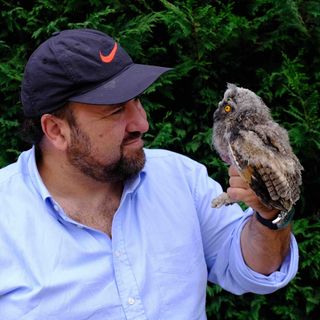 Arona: gufi, yoga e scrittura nel bosco con Marco Mastrorilli