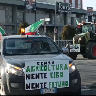 Protesta agricoltori a Novara: trattori e bandiere contro le politiche dell'unione europea  VIDEO