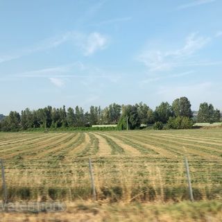 Regimi di qualità: la regione Piemonte apre un bando da oltre un milione di euro