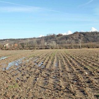 È allarme siccità, Coldiretti: &quot;Produzioni ridotte già del 30%
