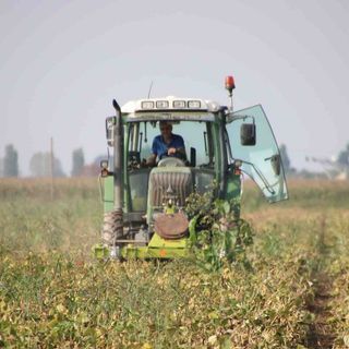 Coldiretti Piemonte: &quot;Altri 3 miliardi per l'agricoltura dal Pnrr&quot;
