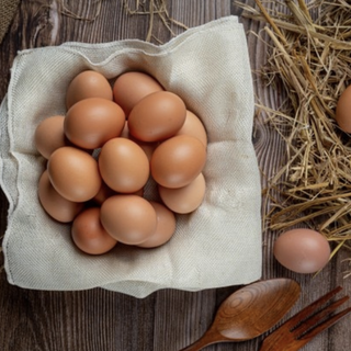 Rischio salmonella, 28 avvisi di richiamo di uova fresche