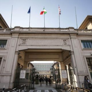 Donazione di organi, in Piemonte crollano i consensi: dall’80 al 60% dopo la pandemia