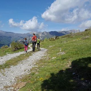 Turismo in Piemonte: nei primi sei mesi del 2025 presenze in crescita del 5,3% Turismo in Piemonte: nei primi sei mesi del 2025 presenze in crescita del 5,3%