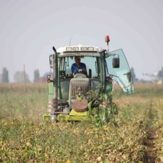 Coldiretti Piemonte: "Bene fondi Ismea per sostenere le imprese giovani" Coldiretti Piemonte: "Bene fondi Ismea per sostenere le imprese giovani"