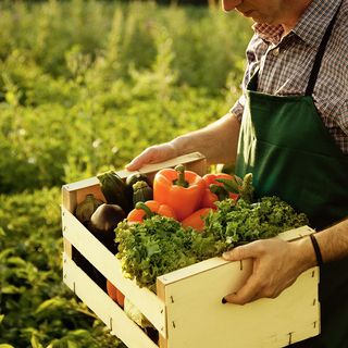Filiere corte e sviluppo dei territori: ancora 20 giorni per partecipare al bando della Regione