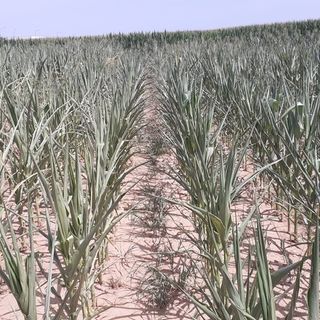 Siccità: semplificare per velocizzare gli interventi idrici sul Pnrr