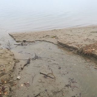 Gravi sversamenti a lago ad Arona
