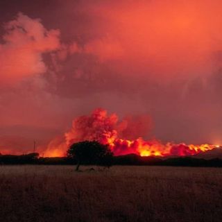 Incendi, dal Piemonte automezzi e un contingente Aib in aiuto di Sicilia e Sardegna