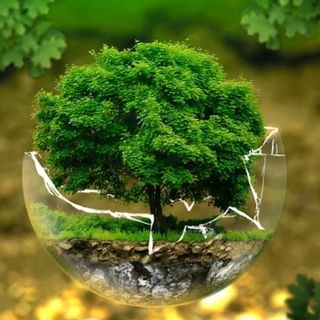 Oggi è l'Earth overshoot day: risorse esaurite, iniziamo a consumare quelle del 2024