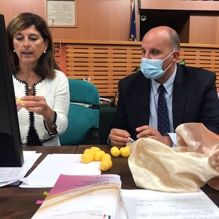 Elezioni, la scheda del Senato in Piemonte: Mastella primo partito, destra prima della sinistra