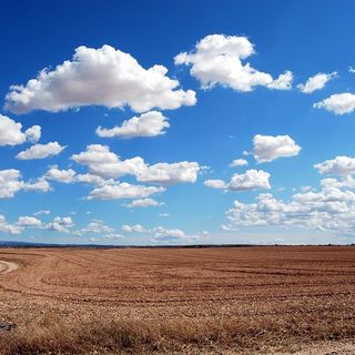 Bandi per interventi agro-climatico-ambientali, agricoltura biologica e benessere animale: prorogata la scadenza