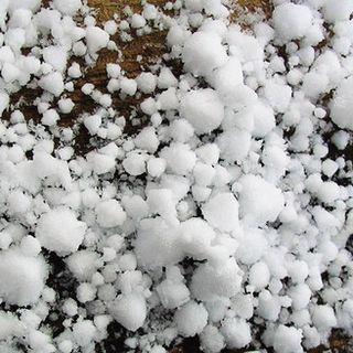 Agricoltura, aprono i bandi regionali per l’acquisto di reti antigrandine ed impianti antigelo