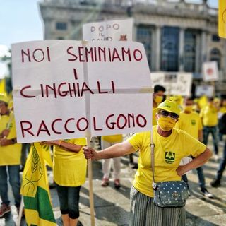 “Per fermare i cinghiali serve piano di contenimento con cacciatori, polizia provinciale e guardie venatorie”