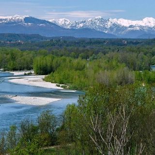 Il Parco del Ticino e Lago Maggiore cerca un nuovo presidente