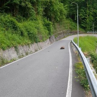 Upi, Ance e Confindustria contro i tagli sulla sicurezza stradale: "Le province vengono messe in difficoltà, serve tavolo di crisi con il Governo" Upi, Ance e Confindustria contro i tagli sulla sicurezza stradale: "Le province vengono messe in difficoltà, serve tavolo di crisi con il Governo"