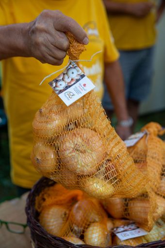 Torna a Fontaneto la Fiera della cipolla bionda Torna a Fontaneto la Fiera della cipolla bionda